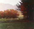 Marc Bohne Oil Landscape Painting - Northwest